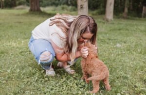 Read more about the article Top 10 Questions to Ask Before Buying a Golden Retriever Puppy for Sale